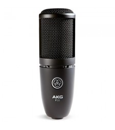 AKG P120 High-Performance Studio Condenser Vocal Microphone 